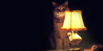 “Тернопільобленерго” оприлюднив оновлений графік відключень світла на 2-8 січня