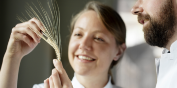 Золотий стандарт корпоративної екологічної прозорості CDP оголосив список найкращих компаній, серед яких – Carlsberg Group