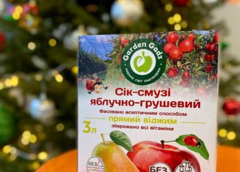 Соки-смузі від ГАДЗ – чудове доповнення святкового столу