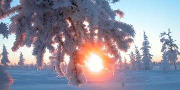 Сильна ожеледиця: поліція закликає тернопільських водіїв бути обережними на дорогах