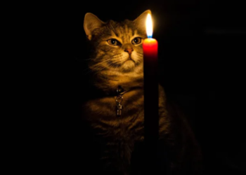 До чого готуватися тернополянам наступного тижня: обленерго оновило графіки електропостачання