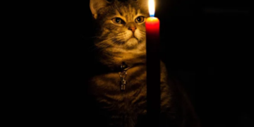 До чого готуватися тернополянам наступного тижня: обленерго оновило графіки електропостачання