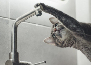 Одне з міст Тернопільщини частково залишиться без води