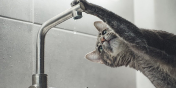 Одне з міст Тернопільщини частково залишиться без води