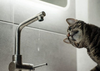 “Просимо зробити запас води”, – у Тернополі на цілий день відключать водопостачання