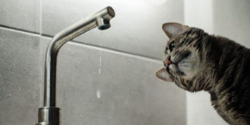 “Просимо зробити запас води”, – у Тернополі на цілий день відключать водопостачання