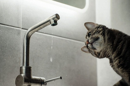 “Просимо зробити запас води”, – у Тернополі на цілий день відключать водопостачання