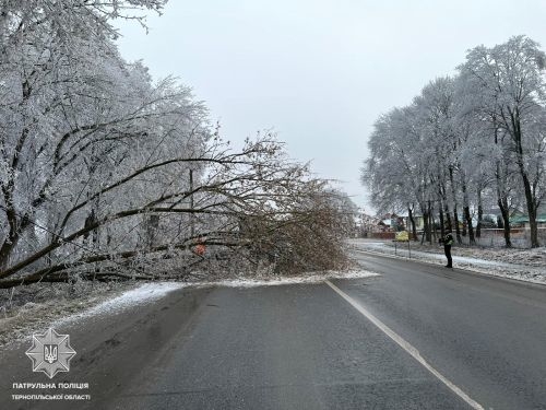 На Тернопільщині перекрили міжнародну трасу, водіїв закликають планувати інший маршрут