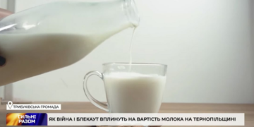 «Балансуємо на межі собівартості»: у ТзОВ «Бучачагрохлібпром» розповіли про виклики воєнного часу