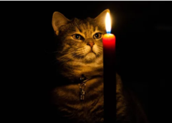 У Тернополі оприлюднено новий графік погодинних вимкнень електроенергії на 9-15 січня