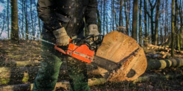 Три роки за зрізане дерево: Тернопільська Феміда продовжує дивувати