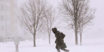 На Тернопільщину насувається шторм: водіям радять не паркувати автівки під деревами