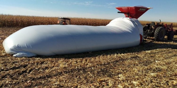 Фермерам Тернопільщини можуть передати обладнання для тимчасового зберігання зерна