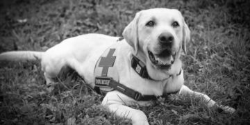 У Тернополі помер помічник рятувальників, який врятував 19 життів