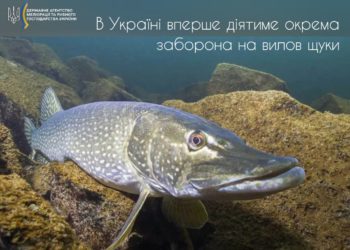 На Тернопільщині заборонили вилов прісноводного хижака