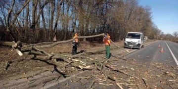 Сильний вітер наробив лиха на Тернопільщині: дорожники зачищають наслідки негоди