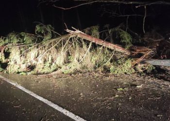 На Тернопільщині негода наробила біди