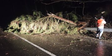 На Тернопільщині негода наробила біди