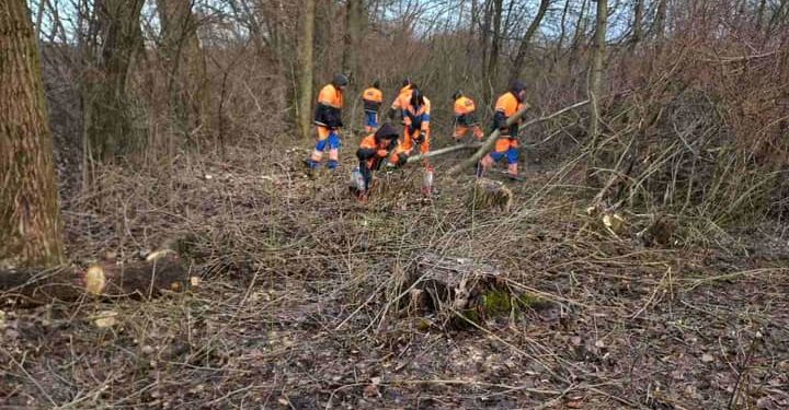 На Тернопільщині негода наробила біди