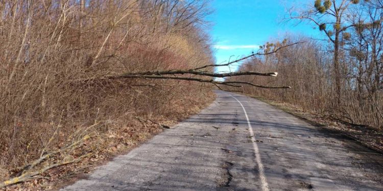 На Тернопільщині негода наробила біди
