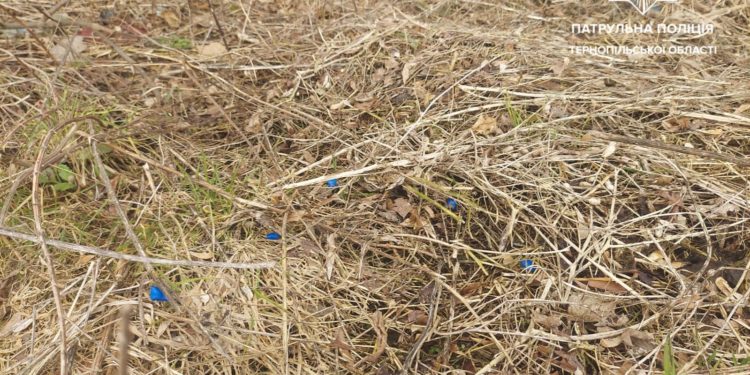 В Тернополі знову зловили “закладчиків”: чому у місті збільшилася проблема з наркотиками?