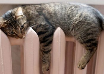 «Тернопільщина готова до початку опалювального сезону», – Михайло Головко