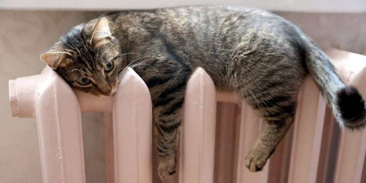 «Тернопільщина готова до початку опалювального сезону», – Михайло Головко