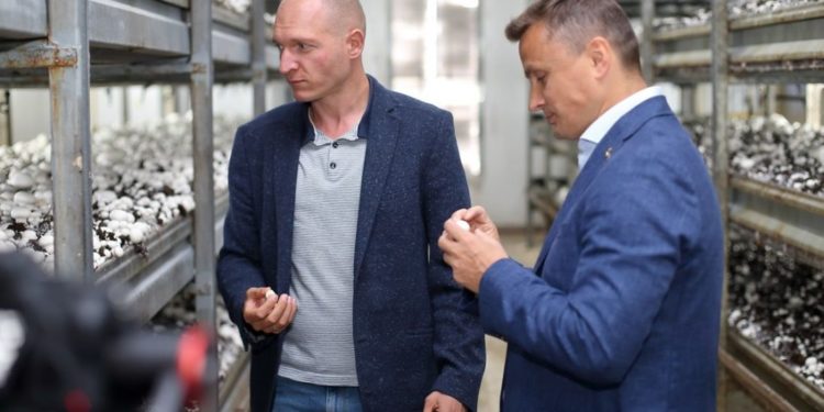 Голова Тернопільської обласної ради Михайло Головко відвідав найбільшу ферму печериць Тернопільщини – Fungi Farm