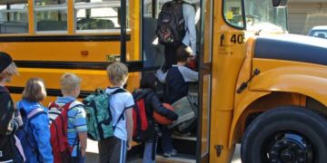 2 080 гривень на день: стільки коштував довіз дітей до школи на Тернопільщині