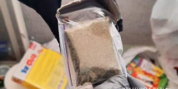 Посилка з наркотиками: в колонію на Тернопільщині хотіли передати заборонені речовини