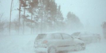 Лютий мороз та снігопади, тернополянам варто готуватися до похолодання