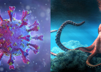 Новий штам коронавірусу «Кракен» вражає дітей та дорослих на Тернопільщині