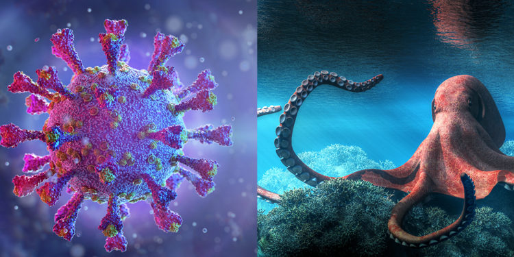 Новий штам коронавірусу «Кракен» вражає дітей та дорослих на Тернопільщині