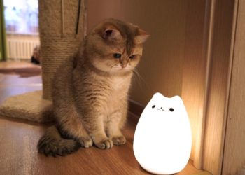 В обленерго знову оновили графіки погодинного відключення електричної енергії в Тернопільській області