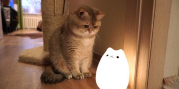 В обленерго знову оновили графіки погодинного відключення електричної енергії в Тернопільській області