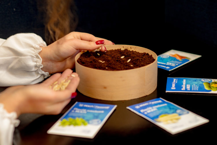 Понад 155 тисяч домогосподарств отримають набори з насінням від благодійників