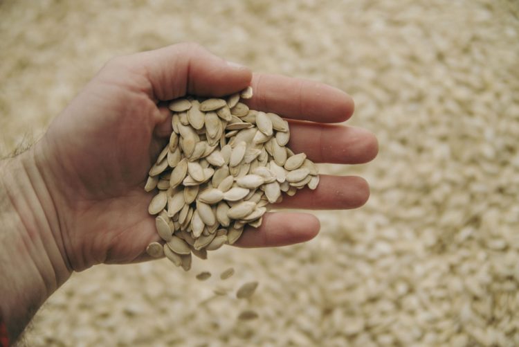 Понад 155 тисяч домогосподарств отримають набори з насінням від благодійників