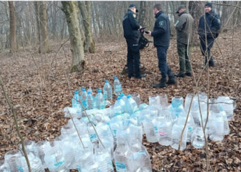 У Тернополі поліція оштрафувала чоловіка, який пошкодив 80 дерев