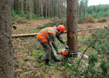 500 пляшок горілки: поліція Тернопільщини викрила незаконний “бізнес” з виготовлення спирту