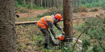 500 пляшок горілки: поліція Тернопільщини викрила незаконний “бізнес” з виготовлення спирту