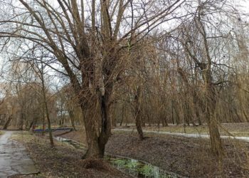 Відзавтра жителям Тернопільщини можна ховати зимовий одяг