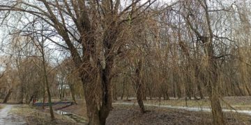 Відзавтра жителям Тернопільщини можна ховати зимовий одяг