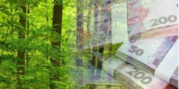 Прокуратура Тернопільщини судиться з філією “Львівської залізниці” за незаконну вирубку дерев