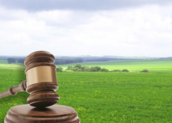 Суд Тернопільщини конфіскував землю в громадянина росії