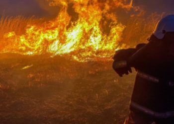 В громаді на Тернопільщині пожежники врятували будівлю