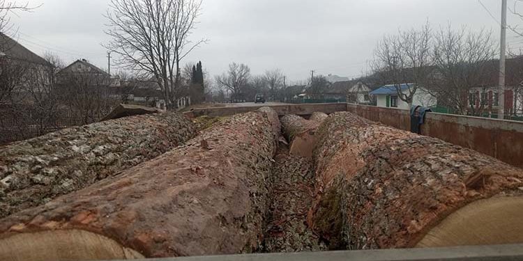 300 євро хабаря: на Тернопільщині чоловік намагався відкупитися від поліції