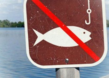 Відсьогодні жителів Тернопільщини будуть штрафувати за вилов риби у водоймах краю