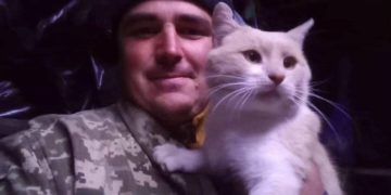 “Мій cинoчoк… Пpoбaч, щo не вбеpеглa”, – на фронті загинув Герой з Тернопільщини Віталій Німко