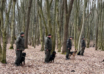 На Тернопільщині кінологи вчать своїх помічників затримувати людей та шукати небезпечні предмети