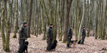 На Тернопільщині кінологи вчать своїх помічників затримувати людей та шукати небезпечні предмети
